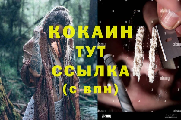 стафф Арсеньев