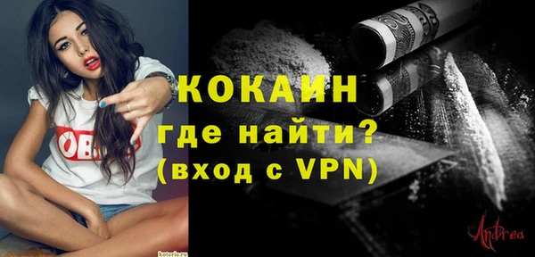 стафф Арсеньев