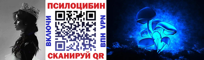 купить наркоту  ОМГ ОМГ маркетплейс  Псилоцибиновые грибы мухоморы  Вязники 